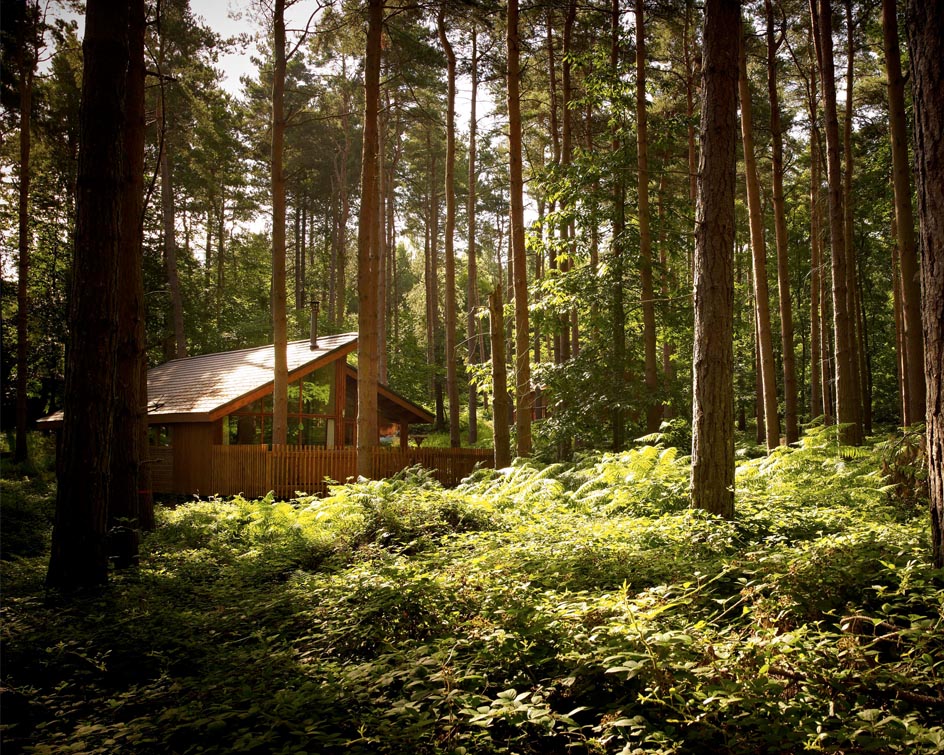 LDC celebrates successful 10-year partnership with Forest Holidays